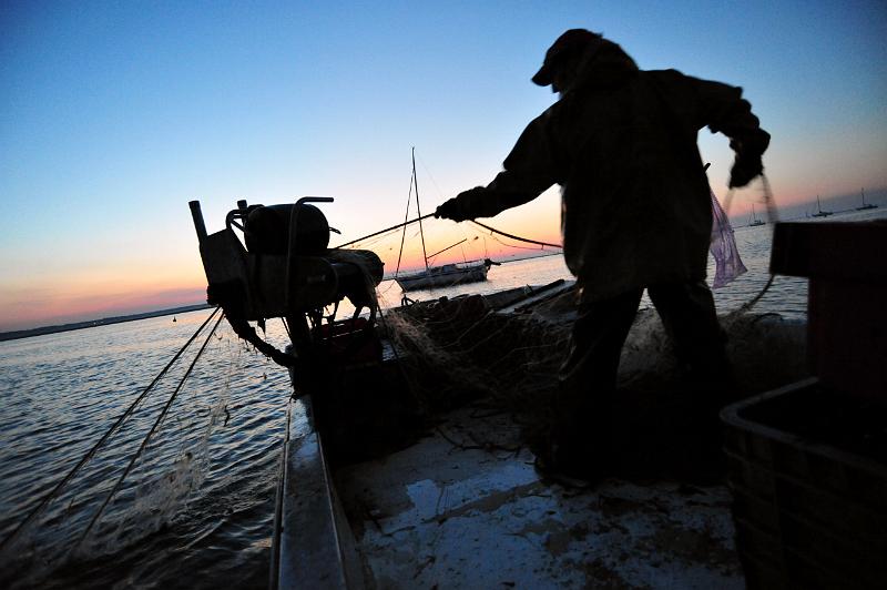Fileyeur Arcachon a7.JPG